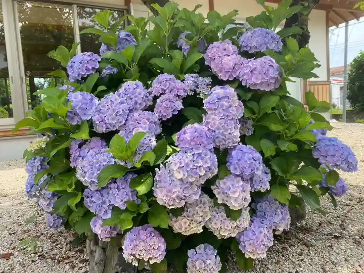 美奈宜神社(福岡県)
