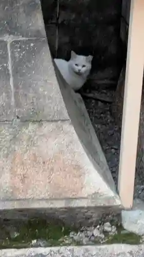 道祖神社(京都府)