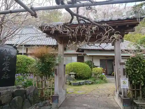 林泉寺の山門