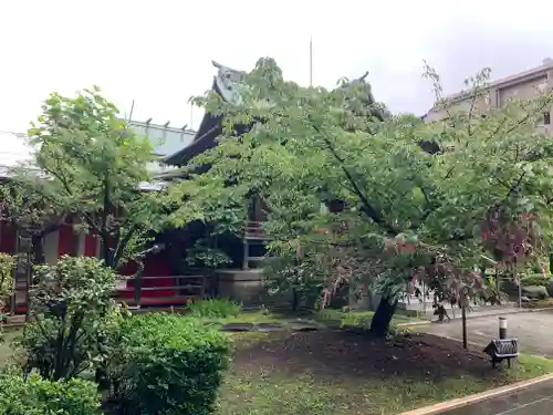 桜神宮の庭園