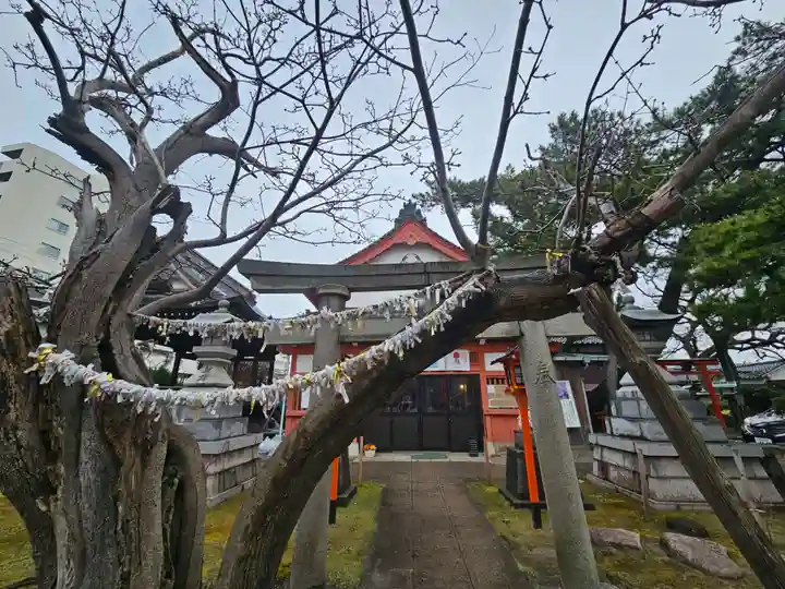 湊稲荷神社(新潟県)