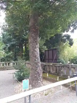 伊豆山神社(静岡県)