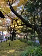 北口本宮冨士浅間神社(山梨県)