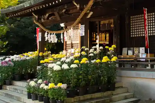 峯ヶ岡八幡神社の本殿