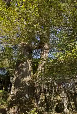 敢國神社(三重県)