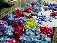 滑川神社 - 仕事と子どもの守り神の手水舎