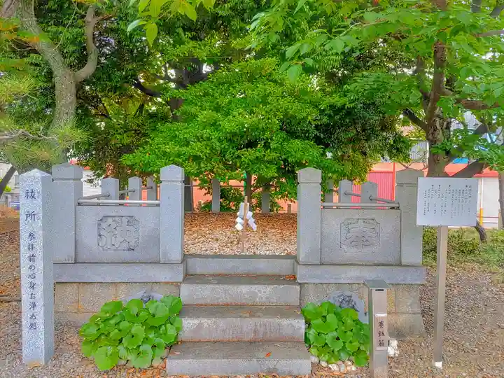 平坂熊野神社の自然