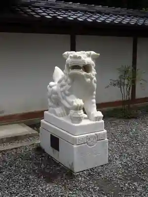 高徳院の狛犬
