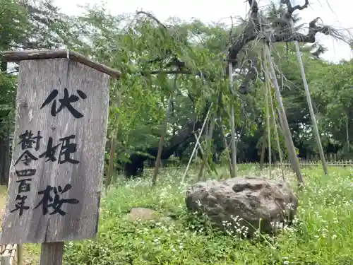 弘法寺(千葉県)