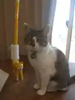 西泉寺(福島県)