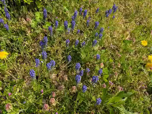 鹿島大神宮(福島県)
