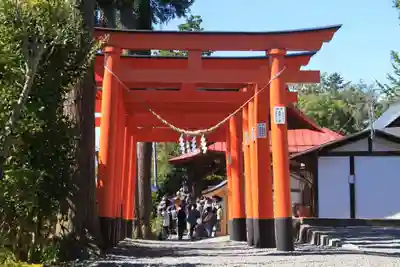 高屋敷稲荷神社の鳥居