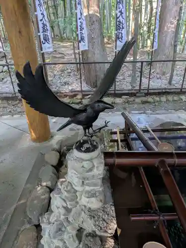 熊野本宮大社(和歌山県)