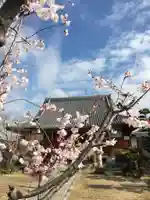 三十講山 光傳寺の自然