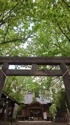 相馬神社の本殿・本堂