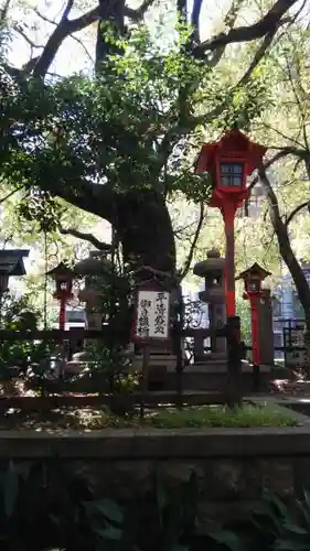 若一神社の自然