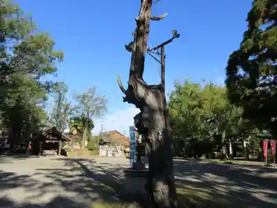 闘鶏神社のその他建物