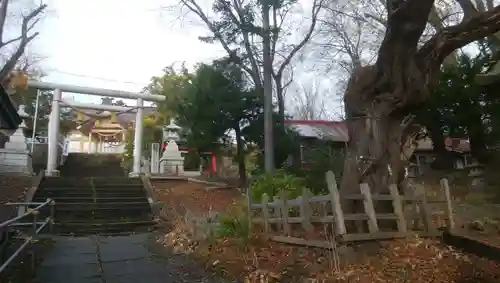 厳島神社の鳥居