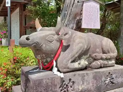 長岡天満宮の狛犬