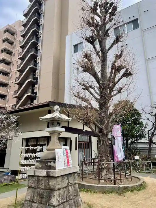 千束稲荷神社の{uncategorized: "未分類", other: "その他", undefined: "問題あり", building: "その他建物", grave: "お墓", sacred_gate: "鳥居", guardian: "狛犬", statue: "像", buddha: "仏像", history: "歴史", nature: "自然", garden: "庭園", animal: "動物", pagoda: "塔", temizu: "手水舎", mountain_gate: "山門・神門", sanctuary: "本殿・本堂", subordinate: "末社・摂社", art: "芸術", scenery: "景色", jizo: "地蔵", ema: "絵馬", goshuin: "御朱印", omikuji: "おみくじ", items: "授与品その他", amulet: "お守り", goshuincho: "御朱印帳", eats: "食事", festival: "お祭り", votive_dance: "神楽", shichigosan: "七五三参", wedding: "結婚式", experience: "体験その他", initially: "初詣", around: "周辺", anti_infection: "感染症対策"}