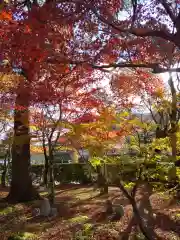 化野念仏寺(京都府)