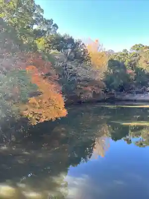 安房神社(千葉県)