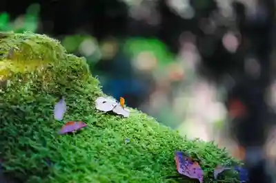 浄土寺(兵庫県)