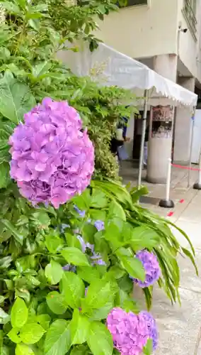 鳥越神社の自然