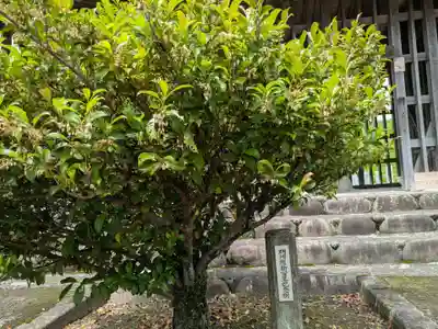 八幡神社・南宮神社(岐阜県)