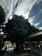 滝野川八幡神社(東京都)