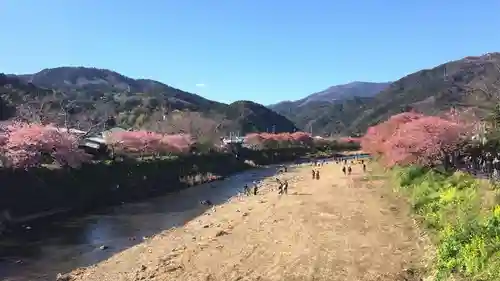 川津来宮神社の景色