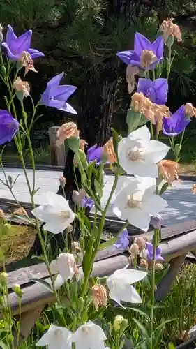  智積院(京都府)