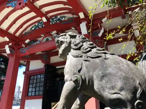 筑土八幡神社の狛犬