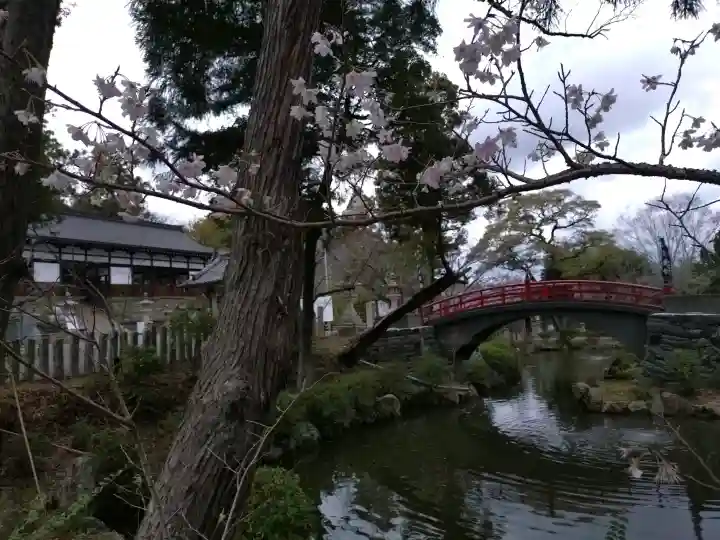 伊太祁曽神社の{uncategorized: "未分類", other: "その他", undefined: "問題あり", building: "その他建物", grave: "お墓", sacred_gate: "鳥居", guardian: "狛犬", statue: "像", buddha: "仏像", history: "歴史", nature: "自然", garden: "庭園", animal: "動物", pagoda: "塔", temizu: "手水舎", mountain_gate: "山門・神門", sanctuary: "本殿・本堂", subordinate: "末社・摂社", art: "芸術", scenery: "景色", jizo: "地蔵", ema: "絵馬", goshuin: "御朱印", omikuji: "おみくじ", items: "授与品その他", amulet: "お守り", goshuincho: "御朱印帳", eats: "食事", festival: "お祭り", votive_dance: "神楽", shichigosan: "七五三参", wedding: "結婚式", experience: "体験その他", initially: "初詣", around: "周辺", anti_infection: "感染症対策"}