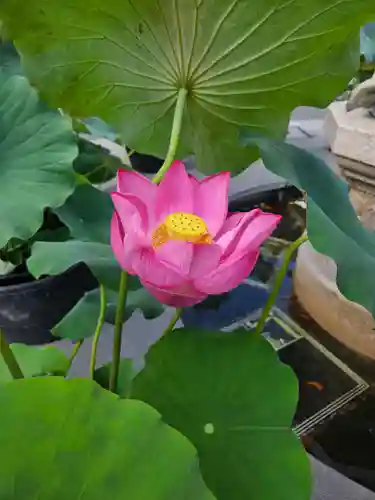 善光寺大勧進(長野県)