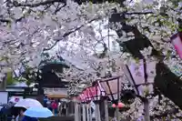 三嶋大社(静岡県)