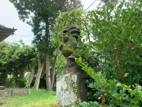 八坂神社の狛犬