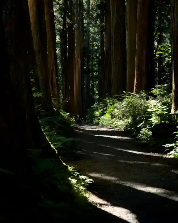 戸隠神社奥社(長野県)