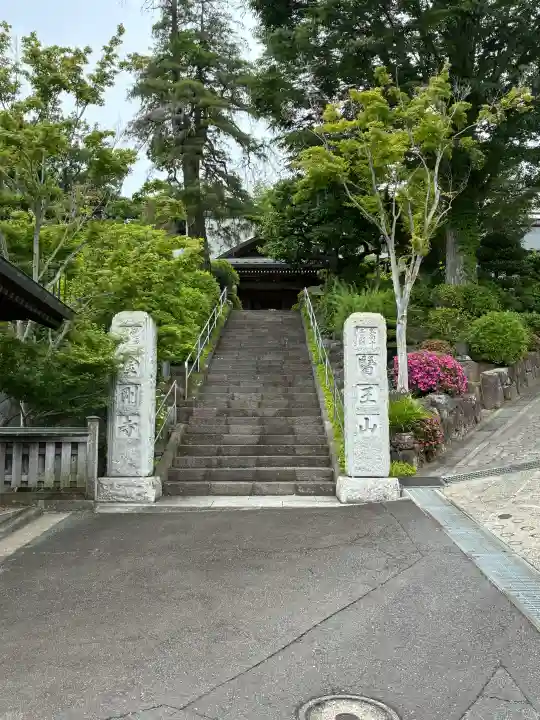 金剛寺の{uncategorized: "未分類", other: "その他", undefined: "問題あり", building: "その他建物", grave: "お墓", sacred_gate: "鳥居", guardian: "狛犬", statue: "像", buddha: "仏像", history: "歴史", nature: "自然", garden: "庭園", animal: "動物", pagoda: "塔", temizu: "手水舎", mountain_gate: "山門・神門", sanctuary: "本殿・本堂", subordinate: "末社・摂社", art: "芸術", scenery: "景色", jizo: "地蔵", ema: "絵馬", goshuin: "御朱印", omikuji: "おみくじ", items: "授与品その他", amulet: "お守り", goshuincho: "御朱印帳", eats: "食事", festival: "お祭り", votive_dance: "神楽", shichigosan: "七五三参", wedding: "結婚式", experience: "体験その他", initially: "初詣", around: "周辺", anti_infection: "感染症対策"}