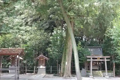 越ヶ谷久伊豆神社(埼玉県)