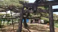 飯玉神社の鳥居