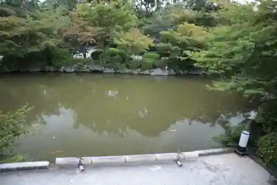 東寺（教王護国寺）(京都府)