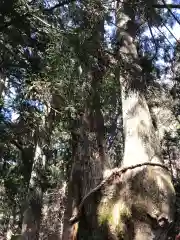 玉置神社の自然