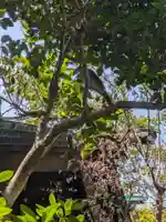 熱田神社(東京都)