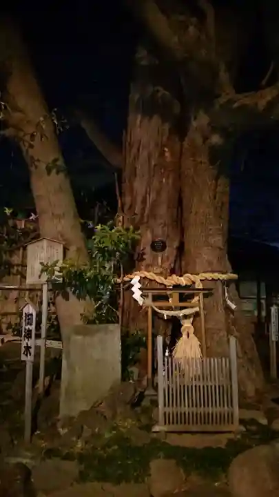 嶺白山神社の自然
