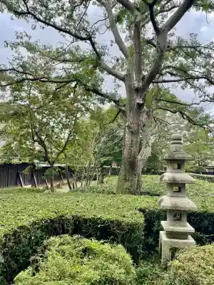 逆井城観音堂(茨城県)