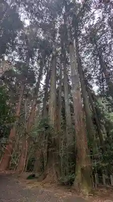 槵觸神社(宮崎県)