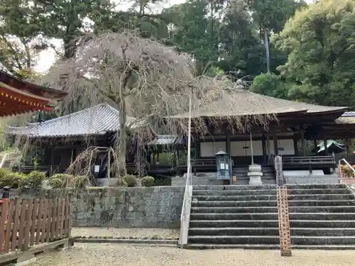 金剛寺(大阪府)