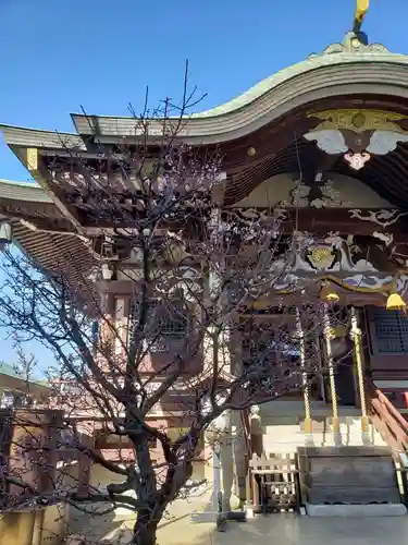 諏訪神社(東京都)