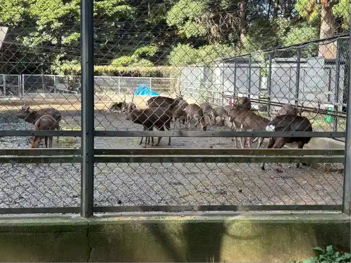 鹿島神宮(茨城県)